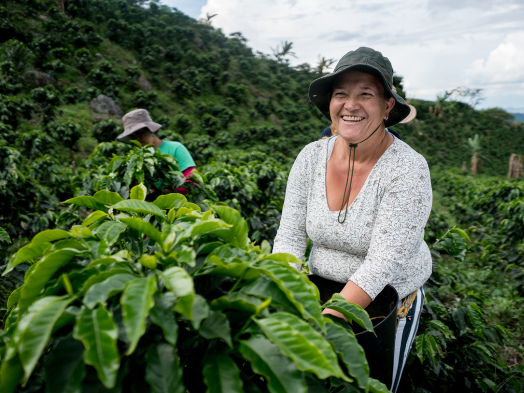 CAFÉ COLOMBIANO