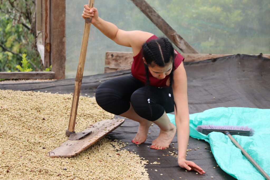 Mujer cafetera