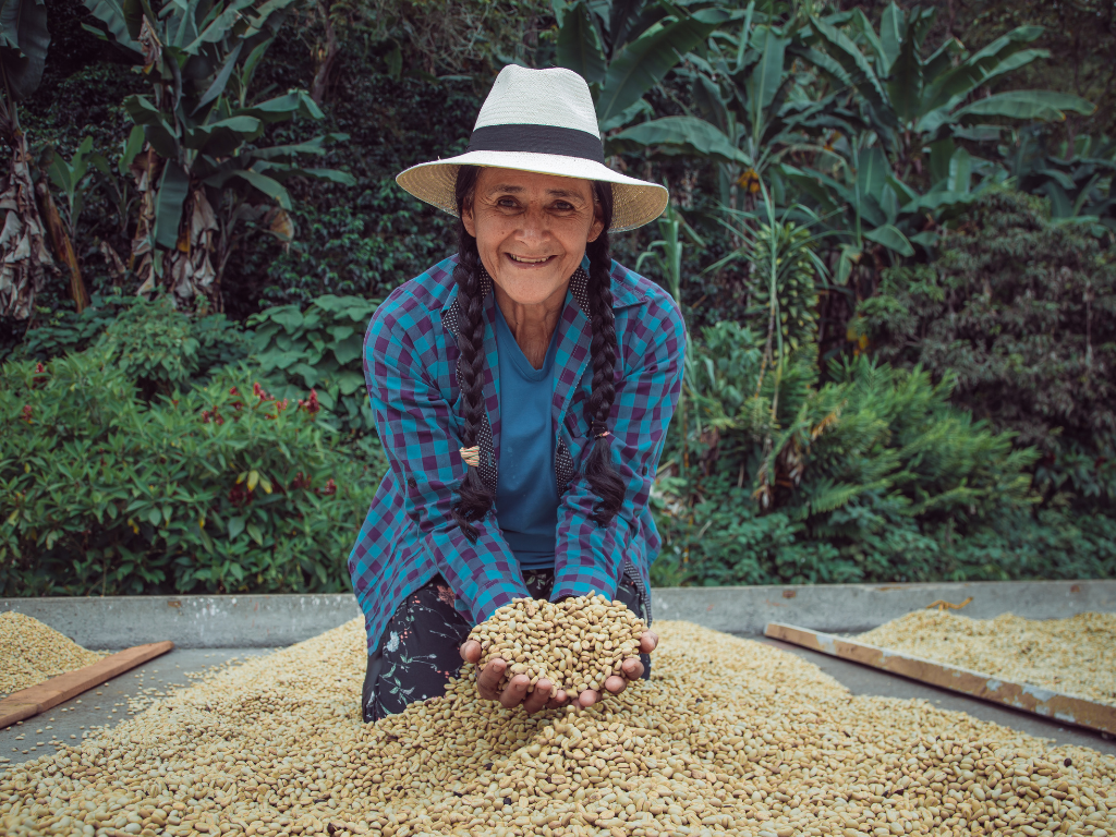 Café seco, cafe para tostar